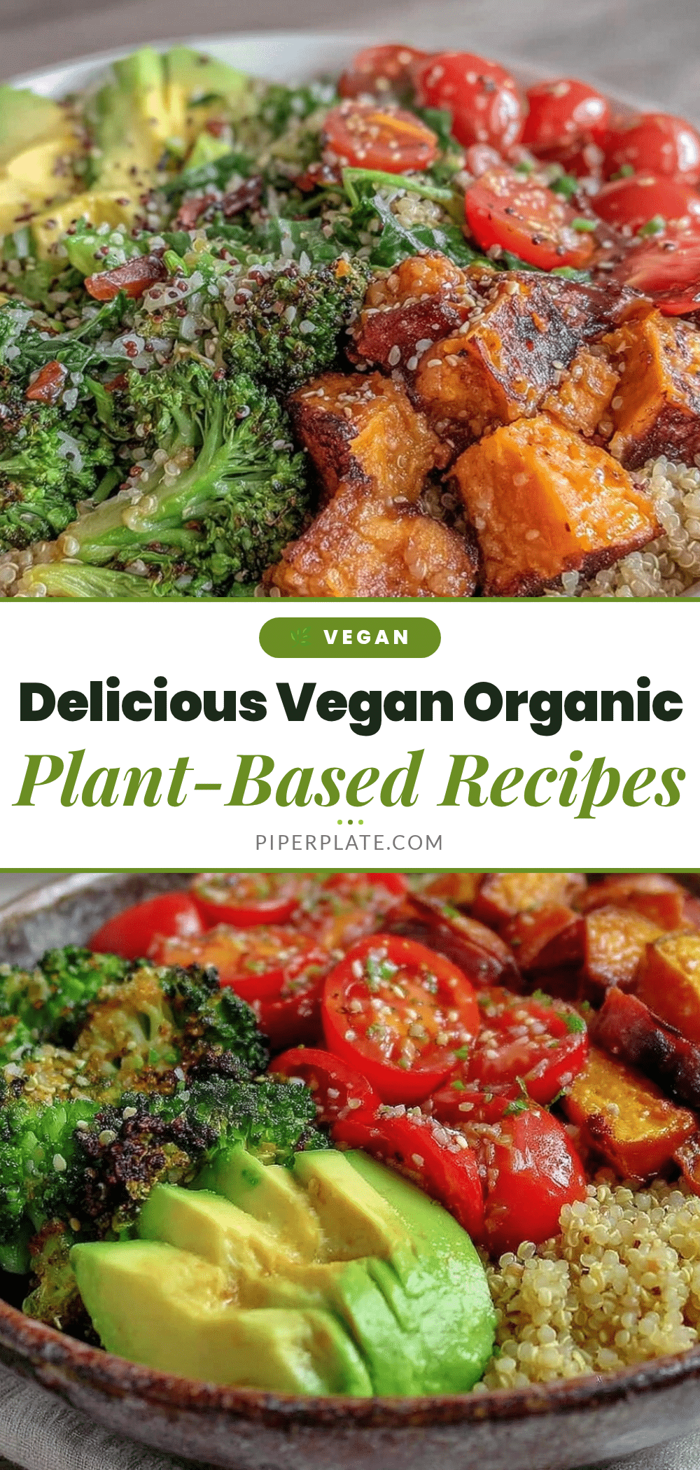 fresh vegan organic recipes recipe