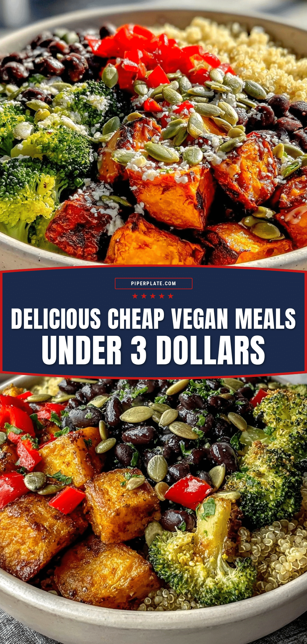 healthy cheap vegan meals under 3 dollars recipe