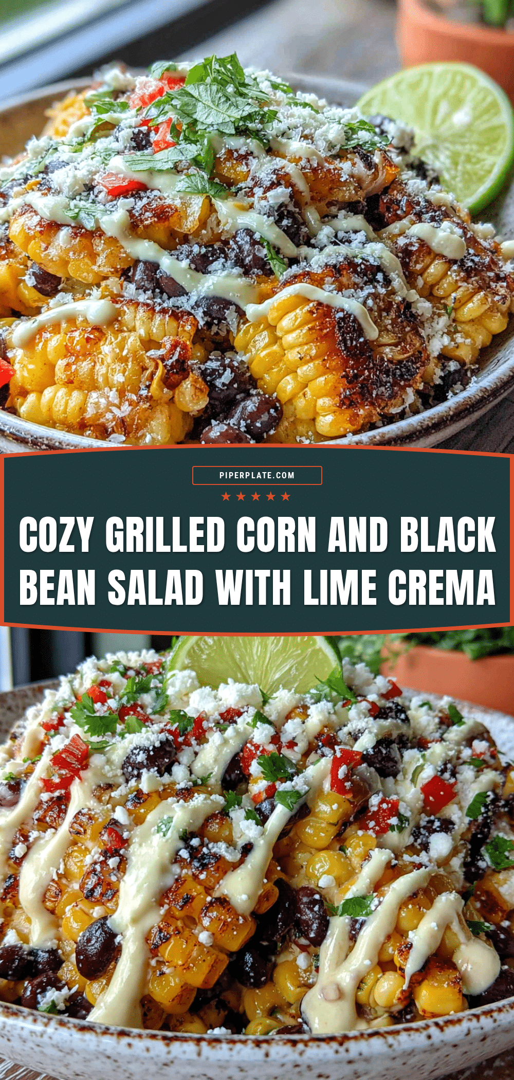 grilled corn and black bean salad recipe