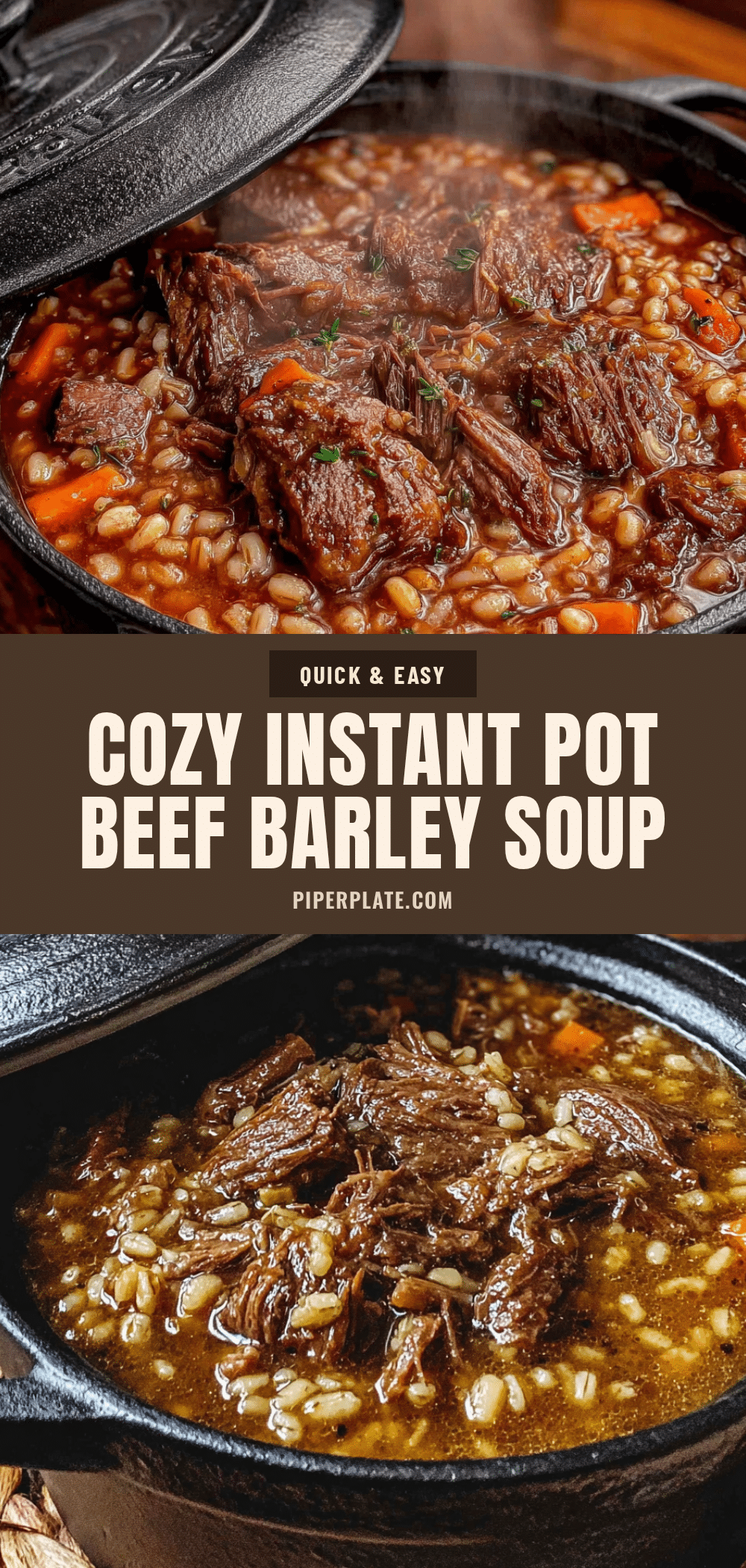 Instant Pot beef and barley soup recipe