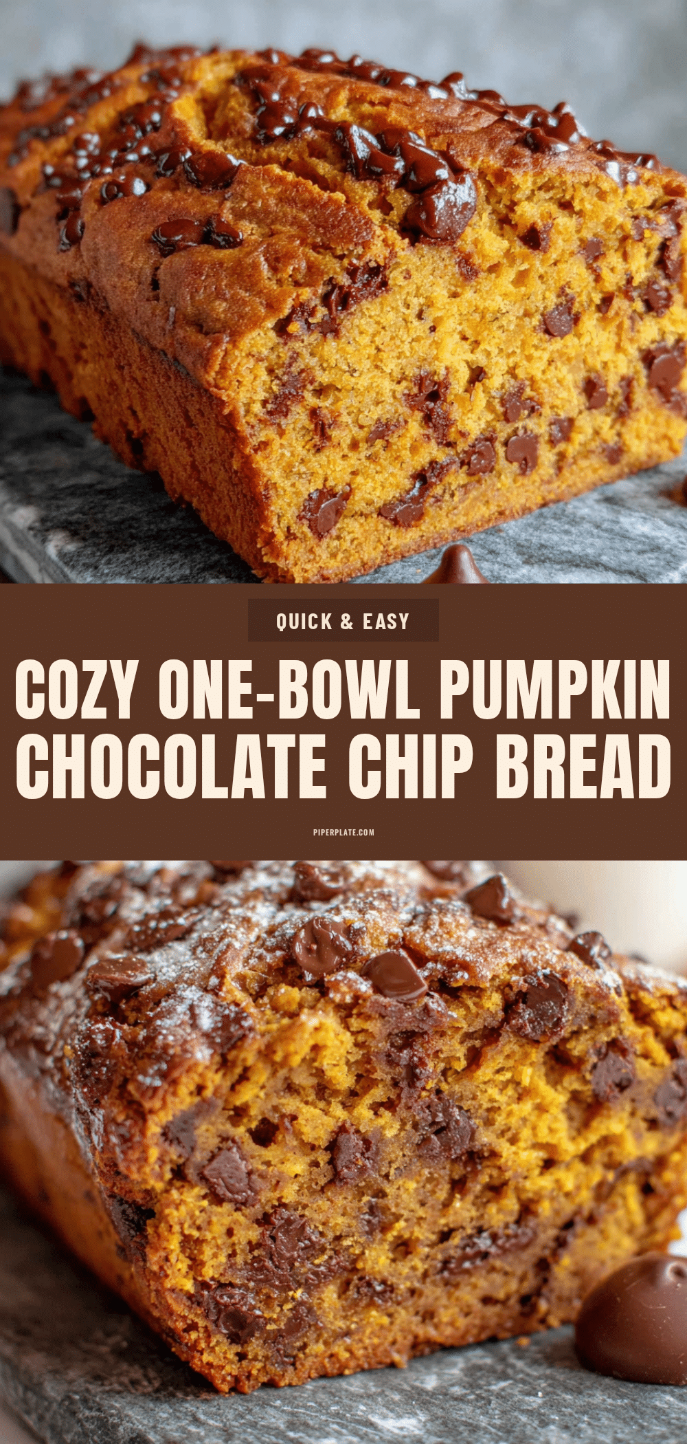 pumpkin chocolate chip bread recipe