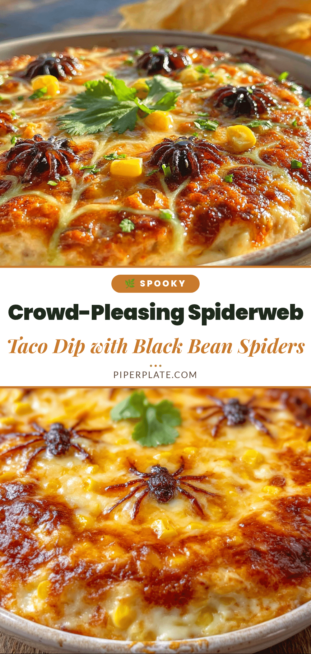 spiderweb taco dip recipe